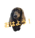 はじめまして！そらだよ！（個別スタンプ：5）
