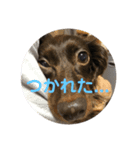 はじめまして！そらだよ！（個別スタンプ：6）