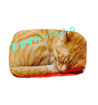 ねこちゃんず スタンプ（個別スタンプ：2）