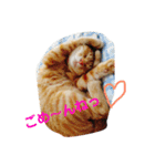 ねこちゃんず スタンプ（個別スタンプ：7）