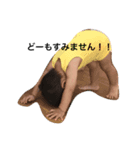 なつきくんのスタンプ（個別スタンプ：1）