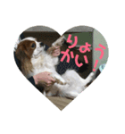 きゃばりあのソラ（個別スタンプ：1）