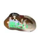 きゃばりあのソラ（個別スタンプ：4）