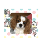 きゃばりあのソラ（個別スタンプ：5）