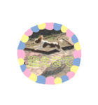 きゃばりあのソラ（個別スタンプ：7）