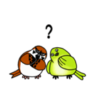 すずめ＆めじろ（個別スタンプ：21）