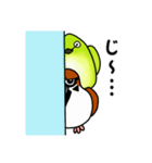 すずめ＆めじろ（個別スタンプ：23）