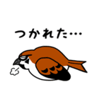 すずめ＆めじろ（個別スタンプ：31）