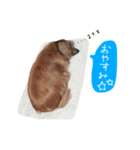 僕はトム（個別スタンプ：6）