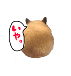 めるちゃん 2（個別スタンプ：1）