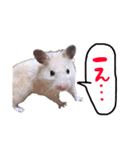めるちゃん 2（個別スタンプ：2）