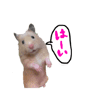 めるちゃん 2（個別スタンプ：4）