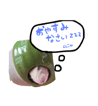 めるちゃん 2（個別スタンプ：5）