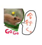めるちゃん 2（個別スタンプ：7）