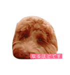 ALのポテト（個別スタンプ：5）