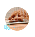 ALのポテト（個別スタンプ：7）