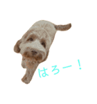 ALのポテト（個別スタンプ：9）