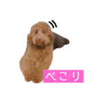 ALのポテト（個別スタンプ：10）
