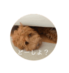 ALのポテト（個別スタンプ：13）