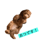 ALのポテト（個別スタンプ：18）