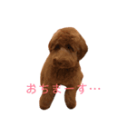 ALのポテト（個別スタンプ：19）