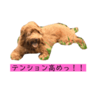 ALのポテト（個別スタンプ：22）