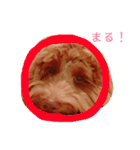 ALのポテト（個別スタンプ：23）