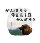 あぽろの日常Part2（個別スタンプ：12）