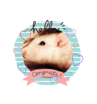 ファンシーラット（個別スタンプ：1）