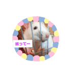ファンシーラット（個別スタンプ：7）
