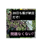 爆笑！謝罪の王様4（個別スタンプ：4）