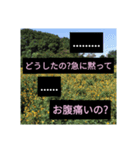 爆笑！謝罪の王様4（個別スタンプ：14）