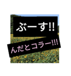 爆笑！謝罪の王様4（個別スタンプ：15）