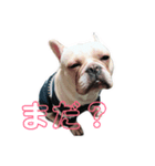 フレブル ジョン（個別スタンプ：4）
