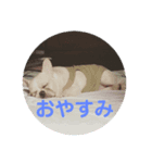 フレブル ジョン（個別スタンプ：6）