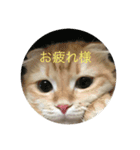 ローマムスタンプ（個別スタンプ：2）
