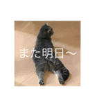 ローマムスタンプ（個別スタンプ：3）