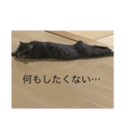 ローマムスタンプ（個別スタンプ：6）