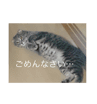 ローマムスタンプ（個別スタンプ：11）