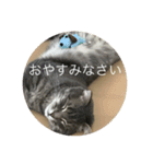 ローマムスタンプ（個別スタンプ：12）