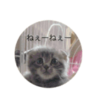 ローマムスタンプ（個別スタンプ：13）