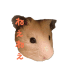 玉三郎の日々（個別スタンプ：9）