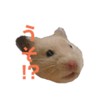 玉三郎の日々（個別スタンプ：10）