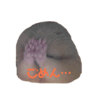 玉三郎の日々（個別スタンプ：19）