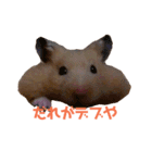 玉三郎の日々（個別スタンプ：26）