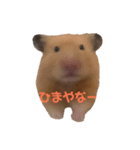 玉三郎の日々（個別スタンプ：33）