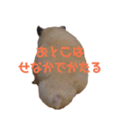 玉三郎の日々（個別スタンプ：40）