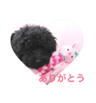 アンちゃんスタンプ1（個別スタンプ：6）