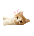 びわくん（個別スタンプ：8）