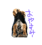 カニヘンぽん太（個別スタンプ：3）